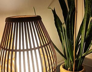 Guest house 0132609 - Holiday property West Flanders - Thuis aan Zee Middelkerke