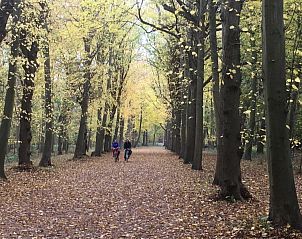 Radfahrer im Wald bei Villa Vacuna am Meer, belgische Kste, genieen die Herbstfarben.