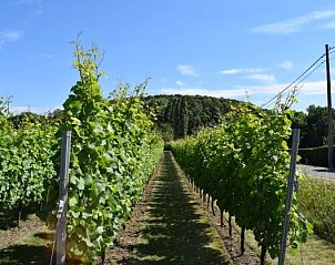 Unterkunft 014438 - Ferienhaus Westflandern - Firmament -tot 18 personen-