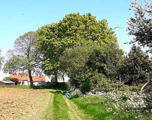 Unterkunft 014438 - Ferienhaus Westflandern - Firmament -tot 18 personen-
