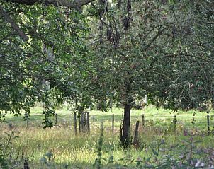 Unterkunft 016104 - Ferienhaus Westflandern - Vakantiehuis in Zedelgem