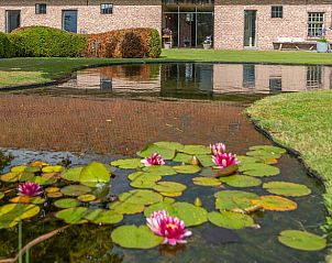 Unterkunft 016211 - Ferienhaus Westflandern - Vakantiehuisje in Damme