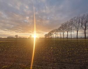 Guest house 016802 - Holiday property West Flanders - Huisje in Ruiselede