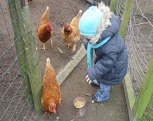 Guest house 016804 - Holiday property West Flanders - Happy Moments