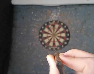 Guest house 017303 - Holiday property West Flanders - De Blauwer