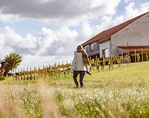 Unterkunft 017311 - Ferienhaus Westflandern - Vakantiehuis in Roesbrugge