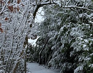 Verblijf 017603 - Vakantiewoning West-Vlaanderen - Vakantiehuis in Loker