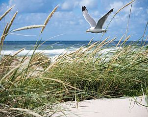 Unterkunft 0181151 - Appartement Westflandern - Sea Tonic 41