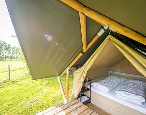 Unterkunft 018123 - Zelthaus Westflandern - Nomad Double