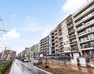 Guest house 018584 - Apartment West Flanders - MALLORCA - 41