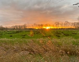 Guest house 018603 - Holiday property West Flanders - Vakantiehuis in Meetkerke