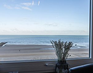 Guest house 0189186 - Holiday property West Flanders - Hawaii - 0501