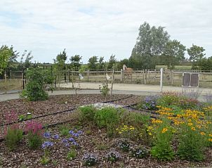 Guest house 018979 - Holiday property West Flanders - 't Lang Zweerd