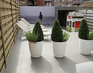 Stijlvolle buitenruimte met planten bij Vakantiehuis Alegria, Westende, West-Vlaanderen.