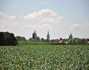 Unterkunft 019158 - Bungalow Westflandern - Breeduyn Village 3