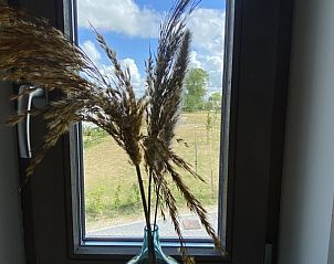 Guest house 019835 - Holiday property West Flanders - Witte Oase 13