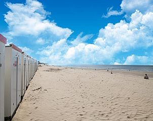 Guest house 019884 - Apartment West Flanders - ZEEB C/ZEE82