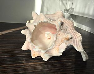 Guest house 020114 - Bed and Breakfast West Flanders - B&B Sabbajon