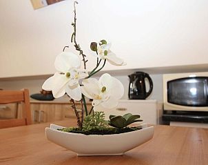 Unterkunft 020133 - Appartement Westflandern - Apartment Old Saxo