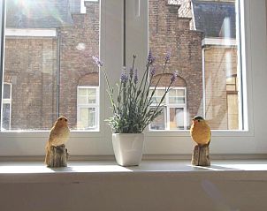 Unterkunft 020133 - Appartement Westflandern - Apartment Old Saxo