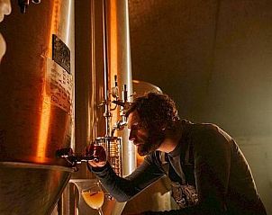 Unterkunft 020166 - Appartement Westflandern - Moonlight Relax