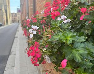 Guest house 020181 - Bed and Breakfast West Flanders - @Cocoon