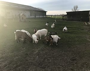 Verblijf 020402 - Vakantiewoning Oost-Vlaanderen - Bvba kitty