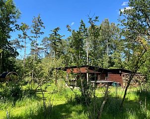 Rustieke charme van Vakantiehuisje in Lokeren met groene omgeving, biedt een serene vakantie-ervaring in Oost-Vlaanderen, Belgi.