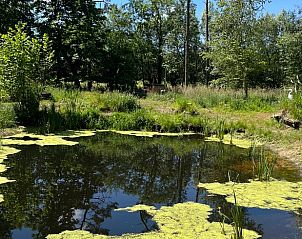 Verblijf 020403 - Vakantiewoning Oost-Vlaanderen - Vakantiehuisje in Lokeren