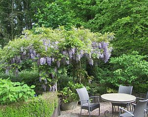 Guest house 0210612 - Holiday property East Flanders - La Cuesta