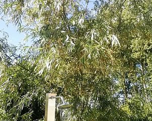 Guest house 0212203 - Holiday property East Flanders - Vakantiehuisje in Assenede