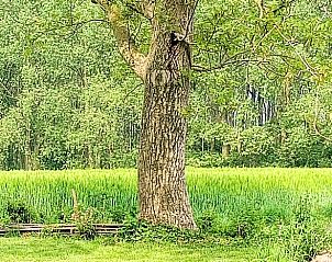 Guest house 0212203 - Holiday property East Flanders - Vakantiehuisje in Assenede