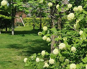 Guest house 0213101 - Holiday property East Flanders - De Groene Hoeve