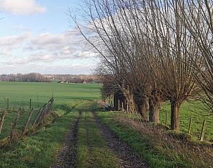 Guest house 0213101 - Holiday property East Flanders - De Groene Hoeve