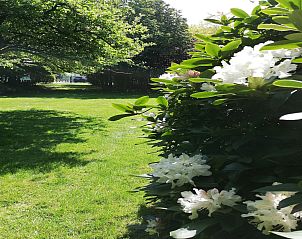 Unterkunft 0213501 - Ferienhaus Ostflandern - Nuvola