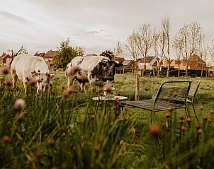 Guest house 0214407 - Holiday property East Flanders - Huisje in Waterland-Oudeman