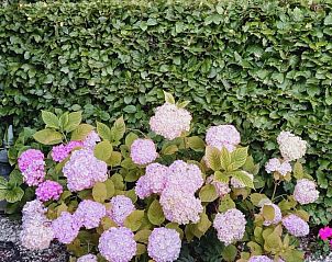 Unterkunft 0214408 - Ferienhaus Ostflandern - 't Goedleven