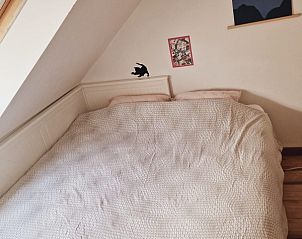 Guest house 0215501 - Holiday property East Flanders - Architectural house near city center - 20min walk