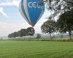 Guest house 0215903 - Holiday property East Flanders - stek&stoof 