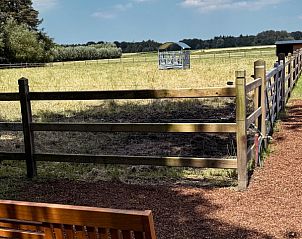 Guest house 0216401 - Holiday property East Flanders - Happy Cow-ter 