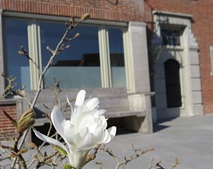 Guest house 0217504 - Holiday property East Flanders - De Brielparel
