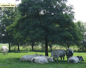 Guest house 022402 - Bed and Breakfast East Flanders - BOMLOZE PUT