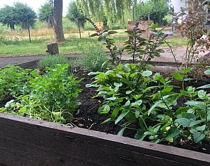 Guest house 022607 - Holiday property East Flanders - Vakantiehuisje in Maarkedal