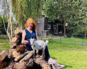 Guest house 022607 - Holiday property East Flanders - Vakantiehuisje in Maarkedal