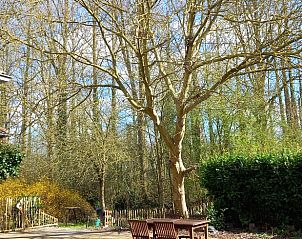 Unterkunft 023104 - Ferienhaus Ostflandern - Vakantiehuis in Zottegem