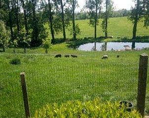 Guest house 0231703 - Holiday property East Flanders - 't Zomerhuis