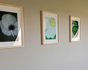 Guest house 0234101 - Holiday property East Flanders - Vakantiehuis in Sleidinge