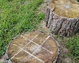 Guest house 0234101 - Holiday property East Flanders - Vakantiehuis in Sleidinge