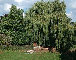 Guest house 0234203 - Holiday property East Flanders - Huisje in Oosteeklo