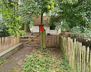 Guest house 0234203 - Holiday property East Flanders - Huisje in Oosteeklo